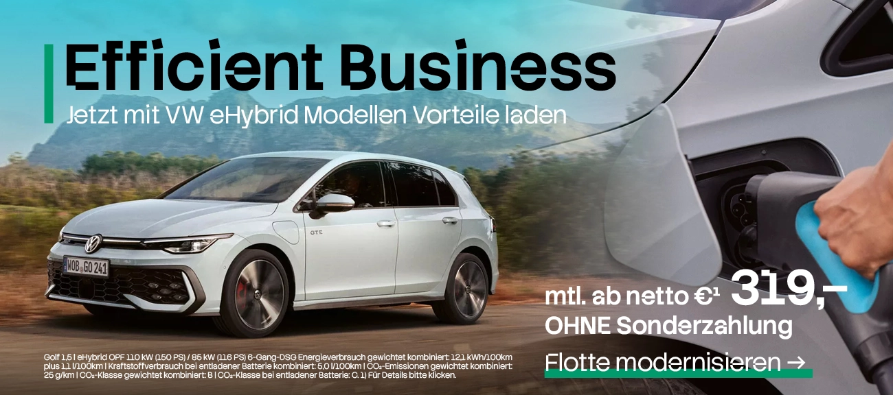 Gewerbe Hybrid VW