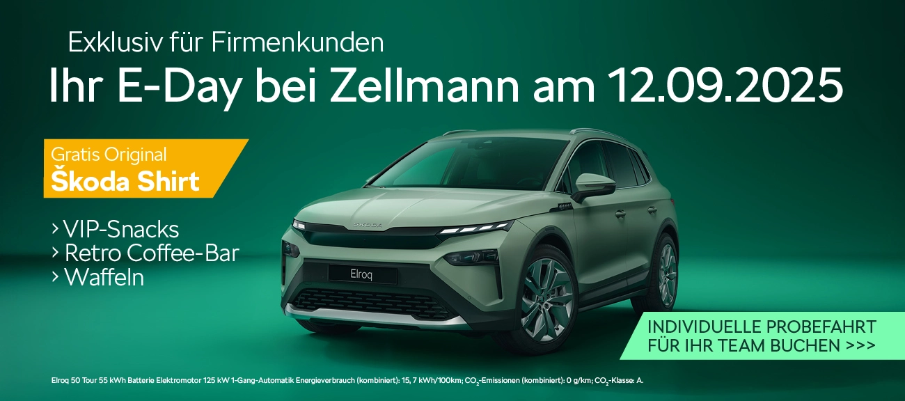 E-Days für Firmenkunden