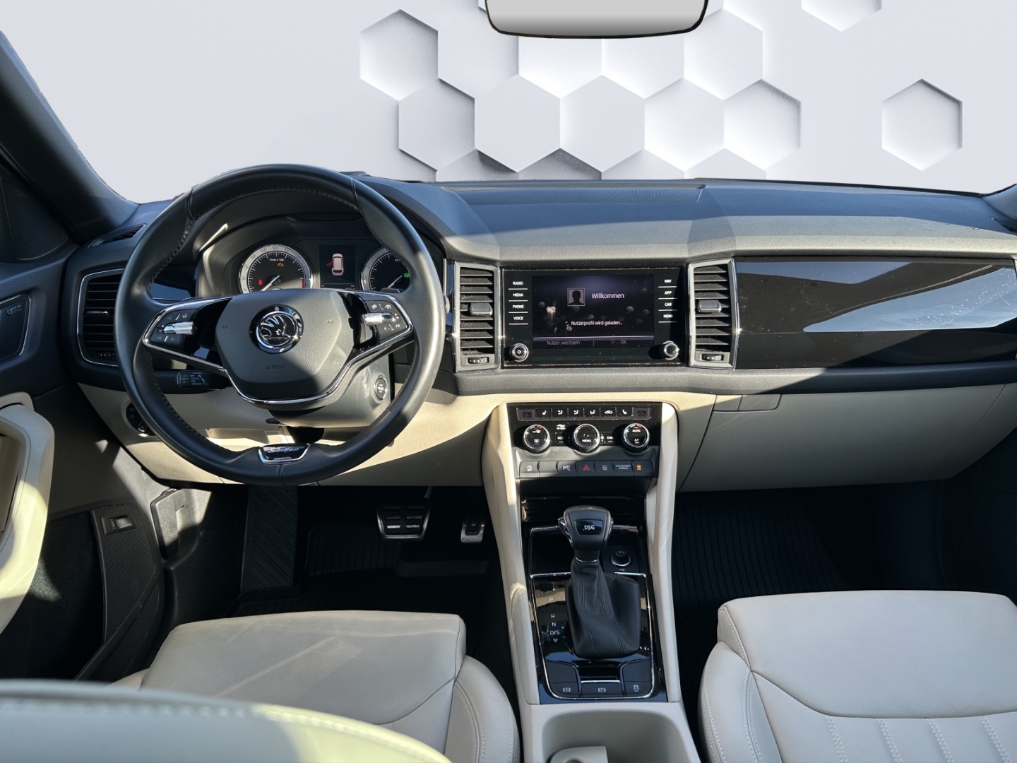 Kodiaq L&K TDI 2.0 110kW DSG AHZV LED PDC 360°Kamera ACC Sitzheizung