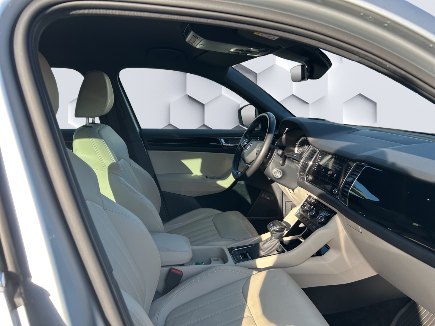 Kodiaq L&K TDI 2.0 110kW DSG AHZV LED PDC 360°Kamera ACC Sitzheizung