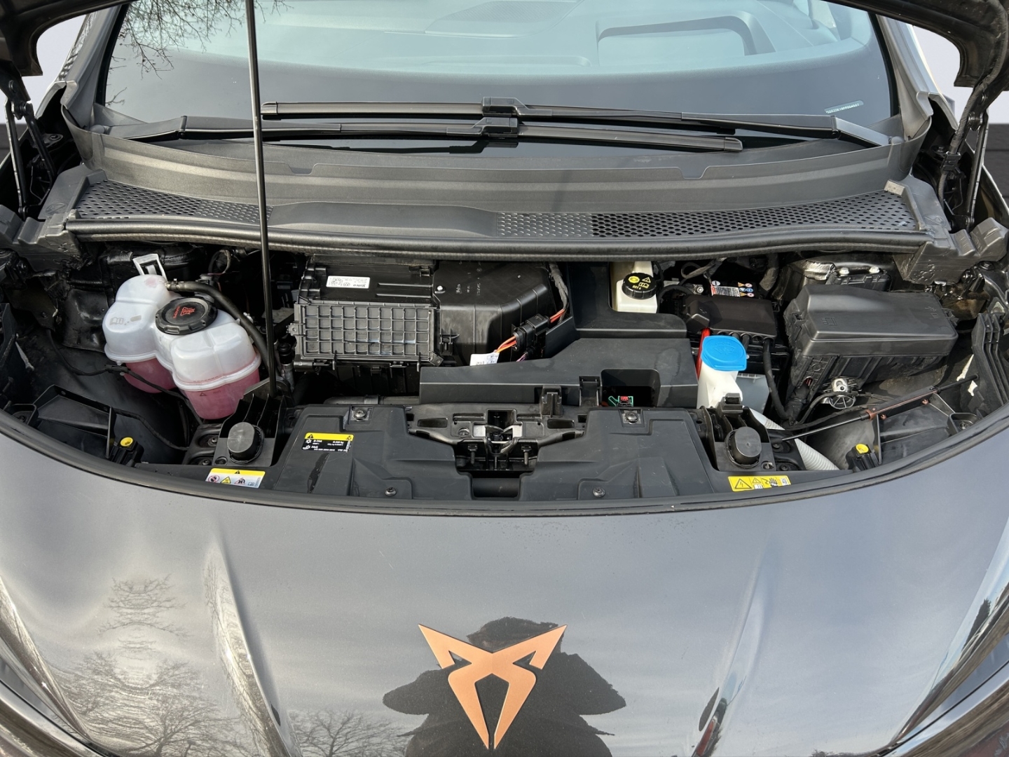 Born 150kW LED HuD GJR ACC 360°Kamera ParkLenkAssist Sitzheizung