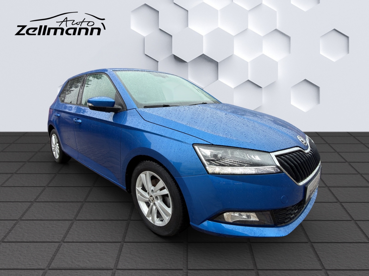 Fabia Style 1.0 TSI 70kW LED PDC Rückfahrkamera Sitzheizung