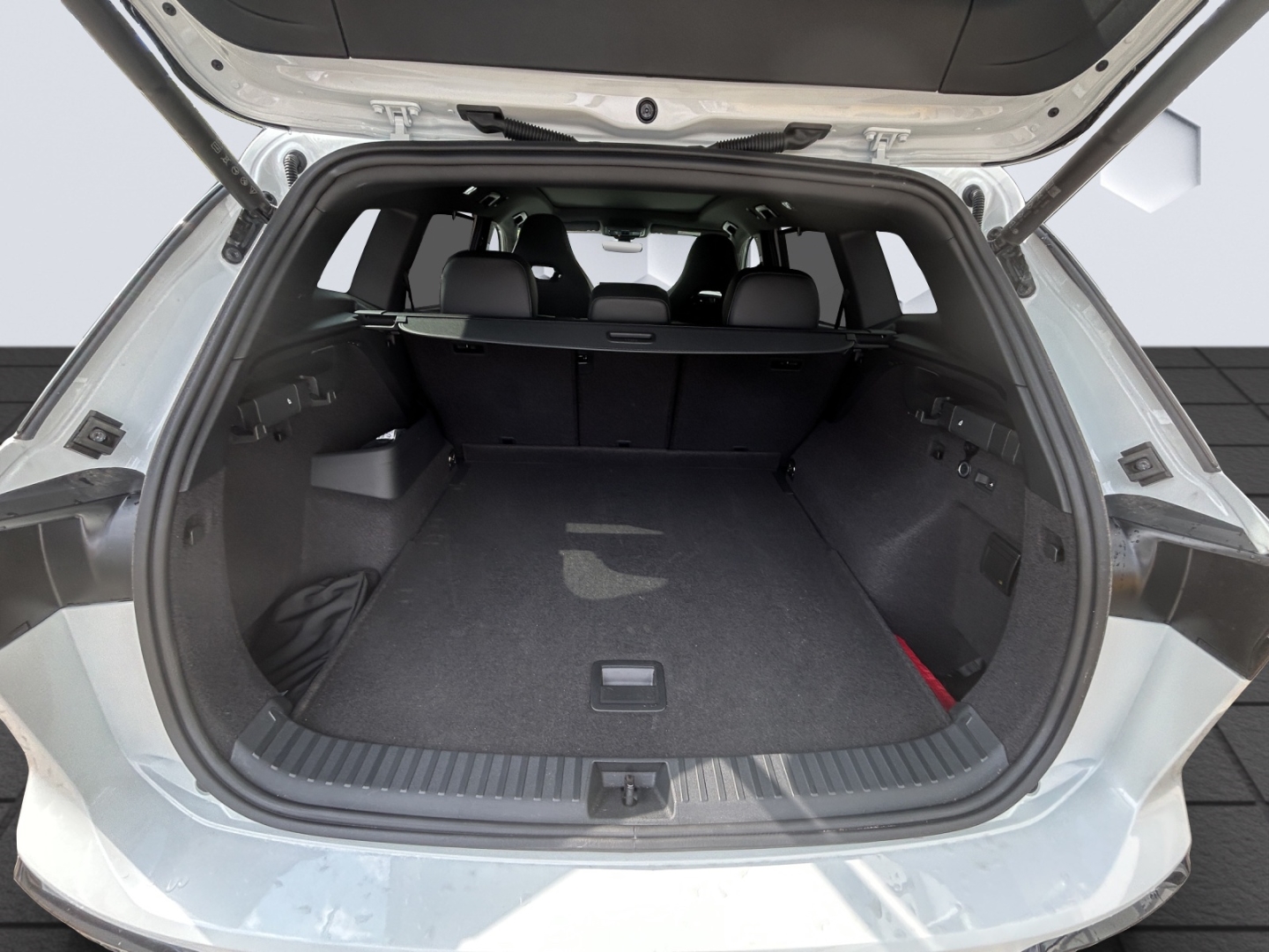 Tayron R-Line 2.0l TDI 4MOTION DSG AhK W+S Reifen