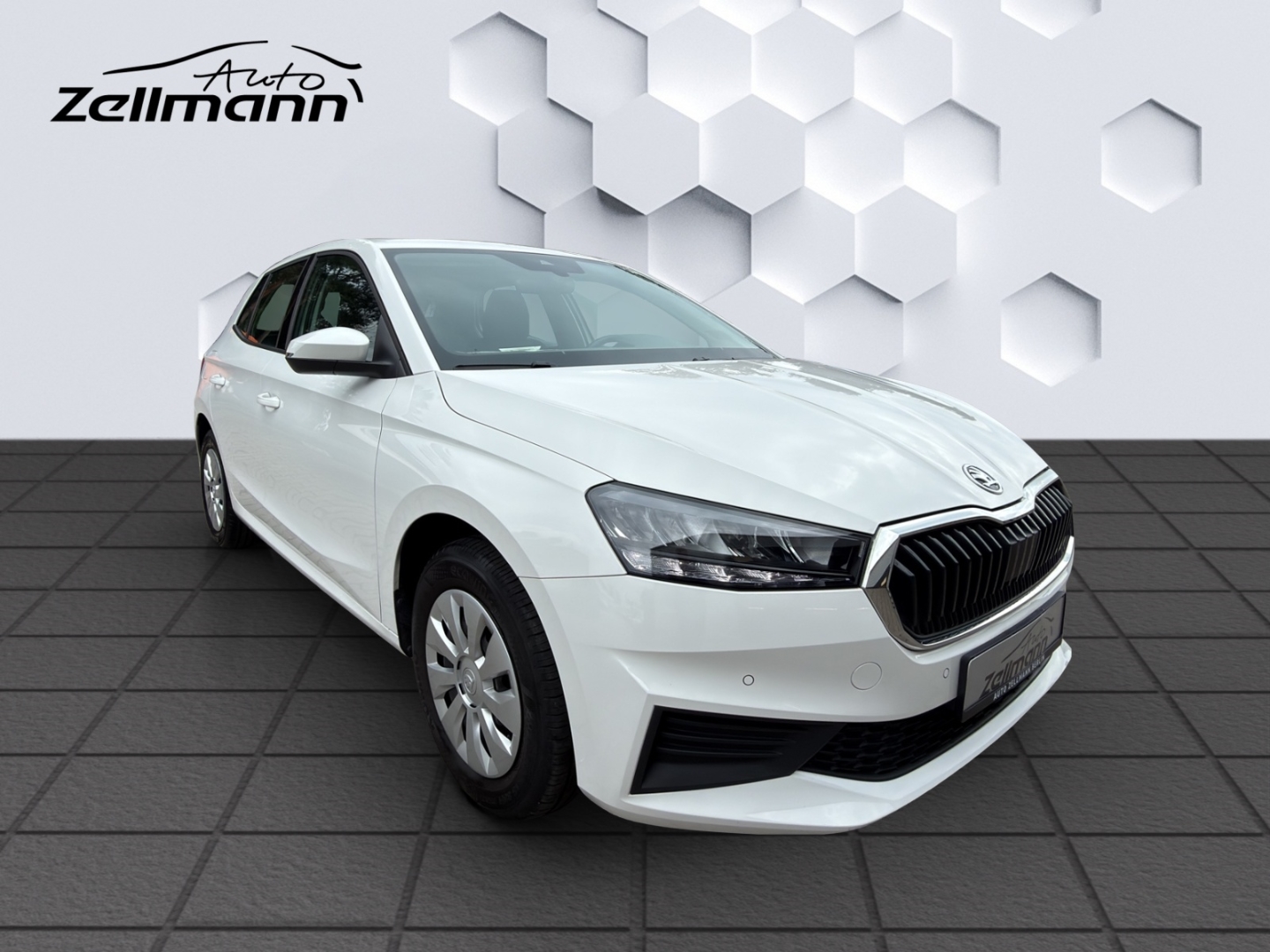 Fabia Ambition 1.0MPI 48kW LED PDC Rückfahrkamera Sitzheizung