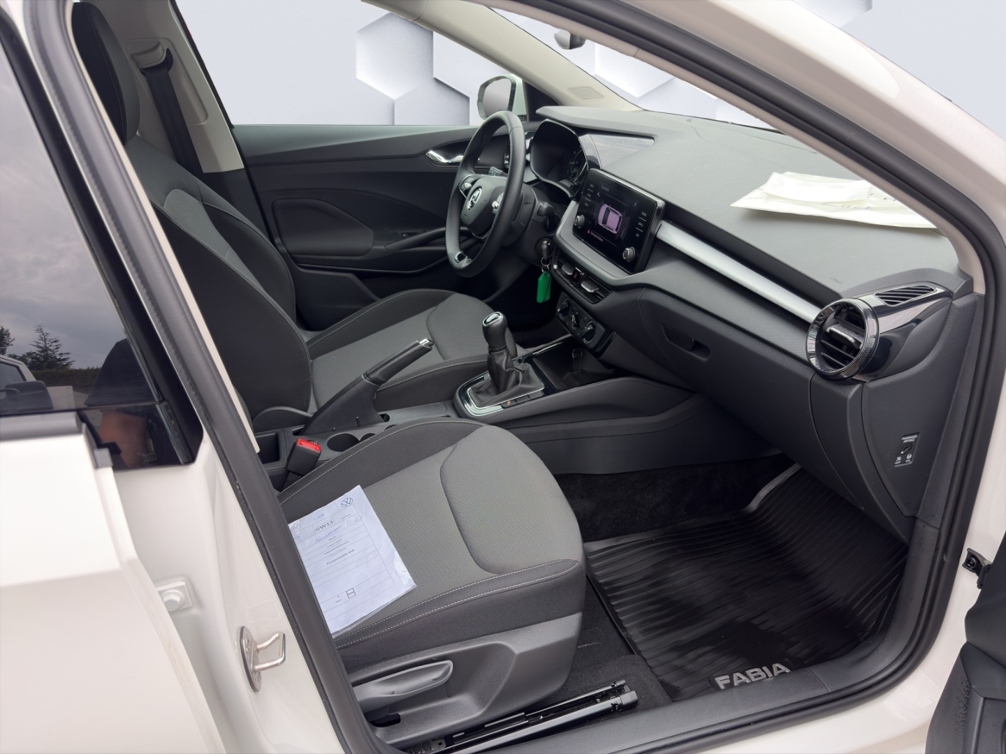 Fabia Ambition 1.0MPI 48kW LED PDC Rückfahrkamera Sitzheizung