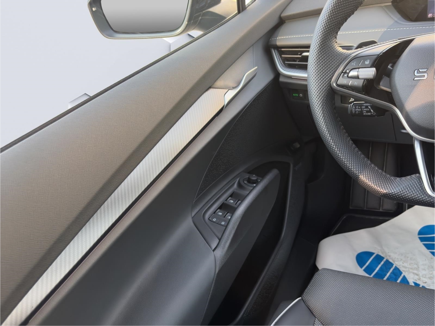 Enyaq RS 250kW 4x4 AHZV MatrixLED HuD PanoDach DCC 360°Kamera ParkAssist Sitzheizung