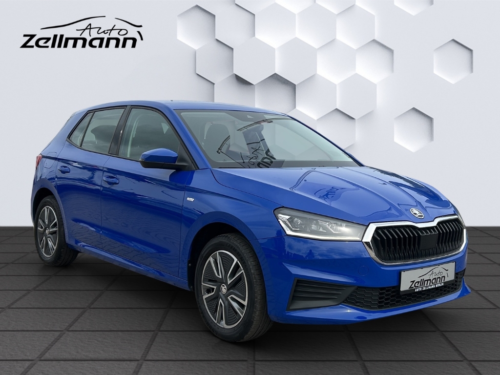 Fabia Tour 1.0MPI 48kW LED PDC Hinten Tempomat Sitzheizung
