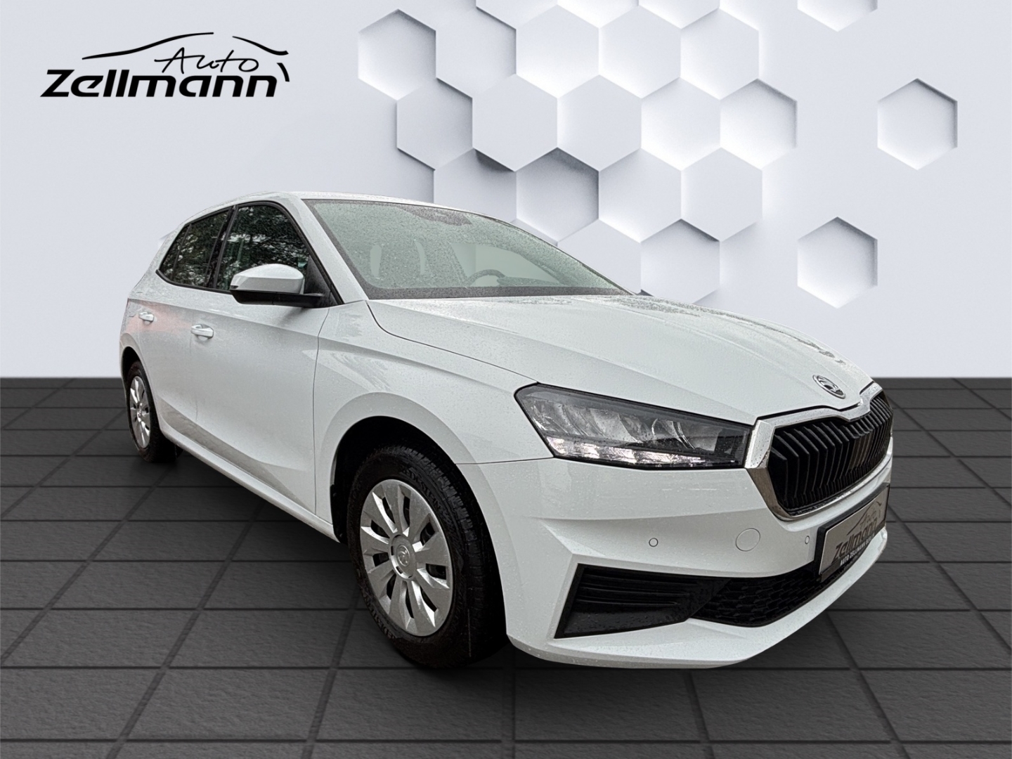 Fabia Ambition 1.0 70kW LED GJR PDC Sitzheizung