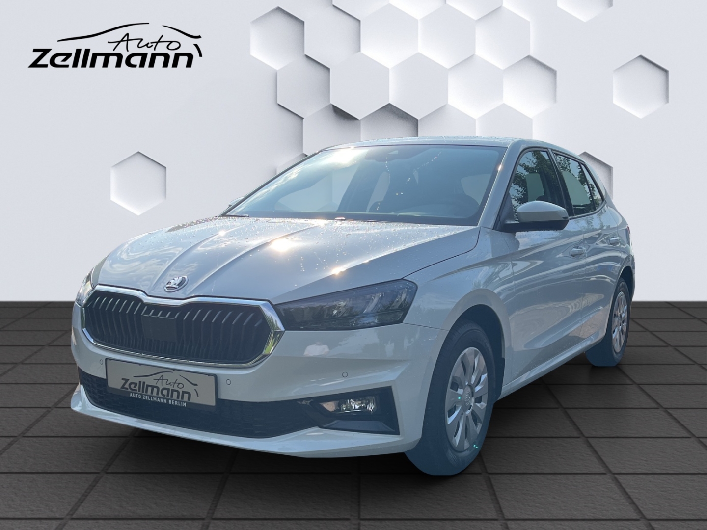 Fabia Selection AHK-abnehmbar LED Sperrdiff. ACC Apple ...