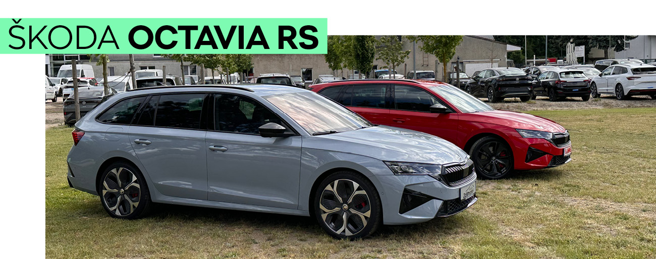Kopfbild Octavia Rs