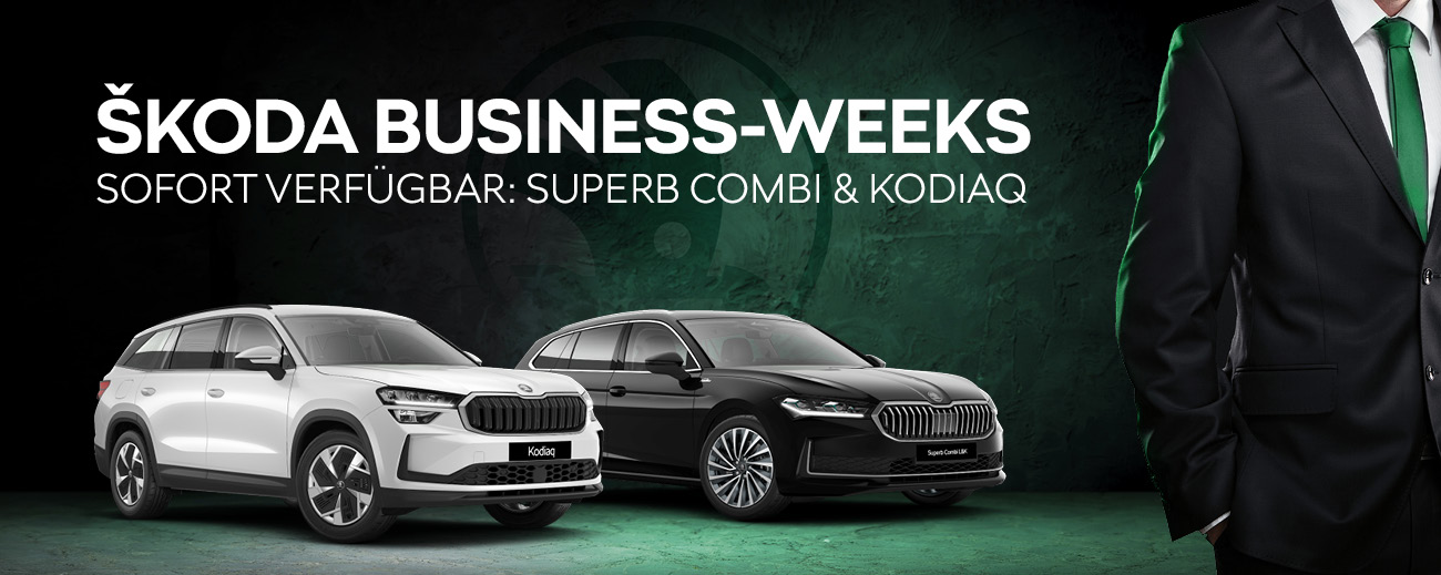 Kopfbild Skoda Business