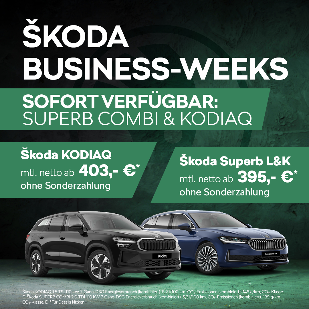 BEITRAGSBILD Skoda Gewerbe Kodiaq + Superb 10-25