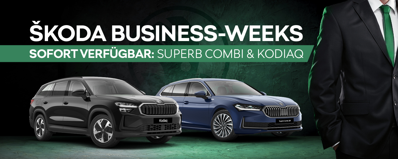 HEADER-DESKTOP-Skoda Gewerbe Kodiaq + Superb