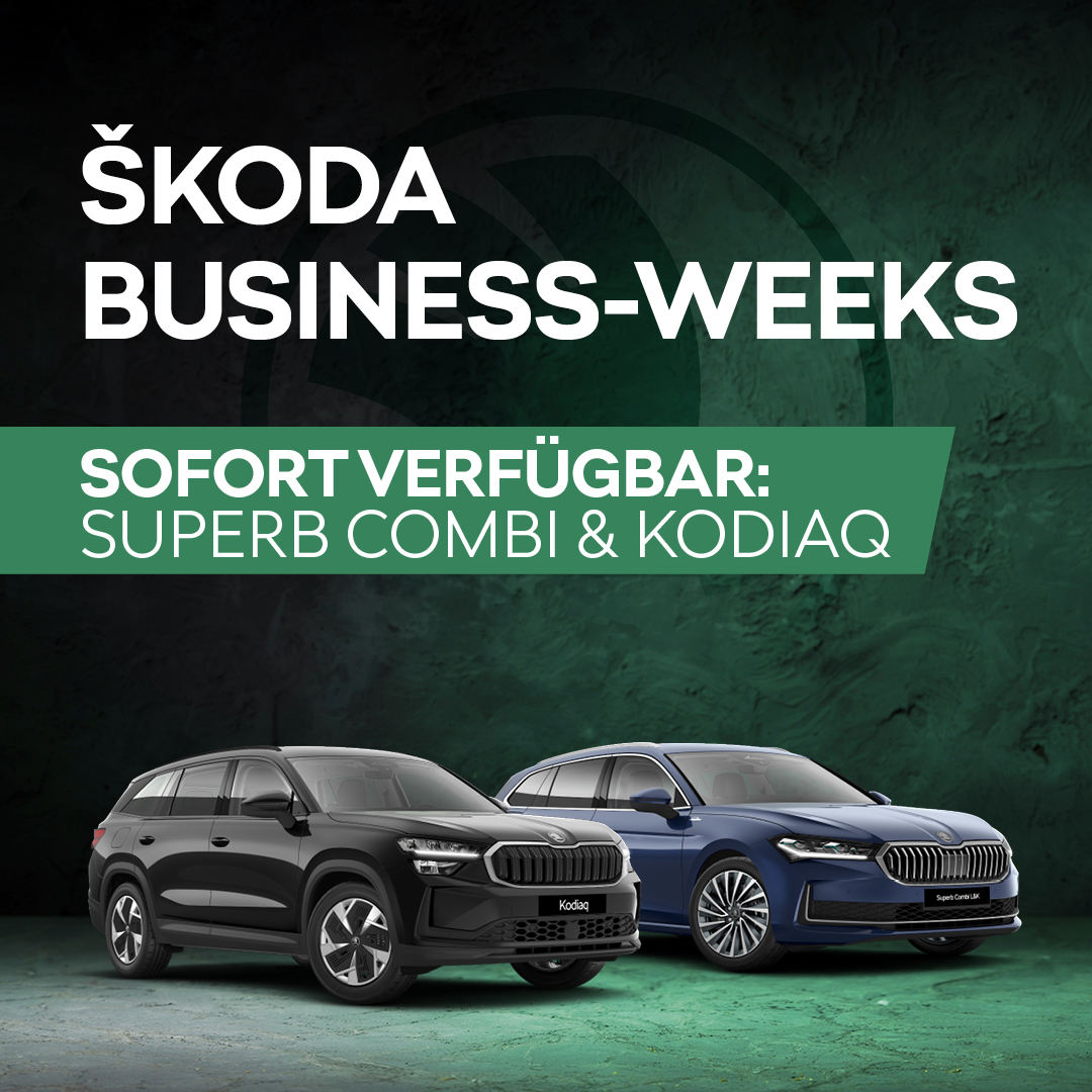 HEADER-MOBILE-Skoda Gewerbe Kodiaq + Superb