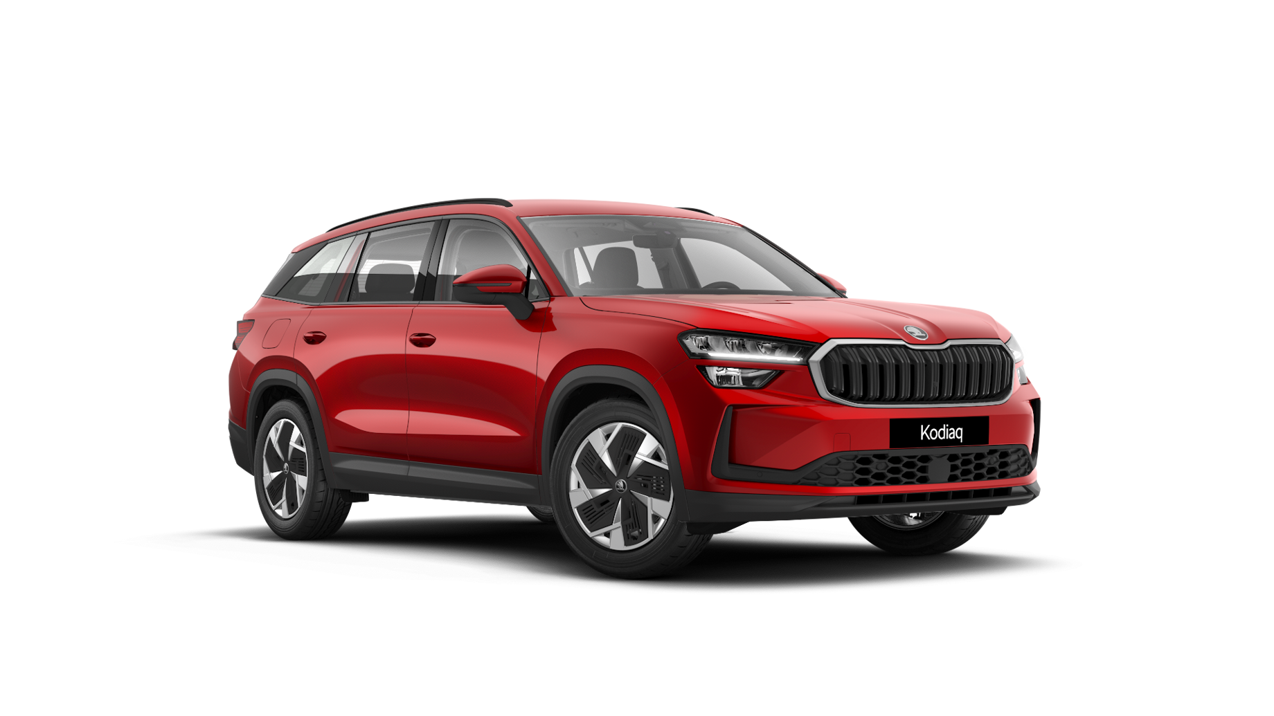 kodiaq rot