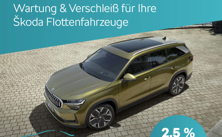  Škoda Wartung & Verschleiß Großkunden