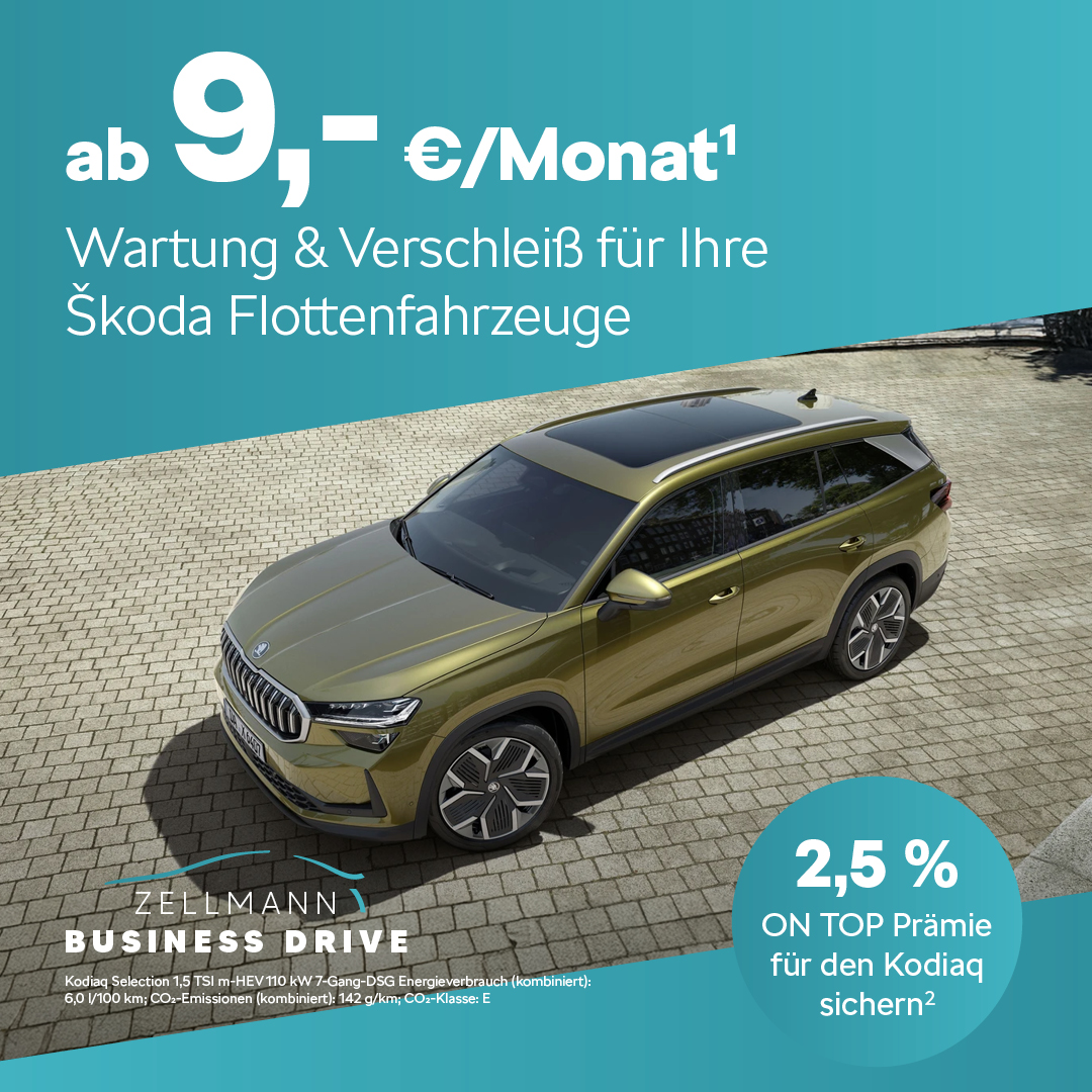 BEITRAG Großkunden Skoda Wartung & Verschleiß