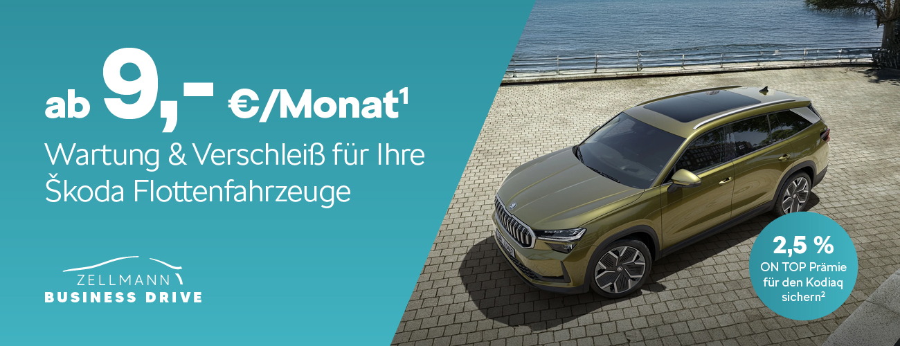 HEADER DESKTOP Großkunden Skoda Wartung & Verschleiß