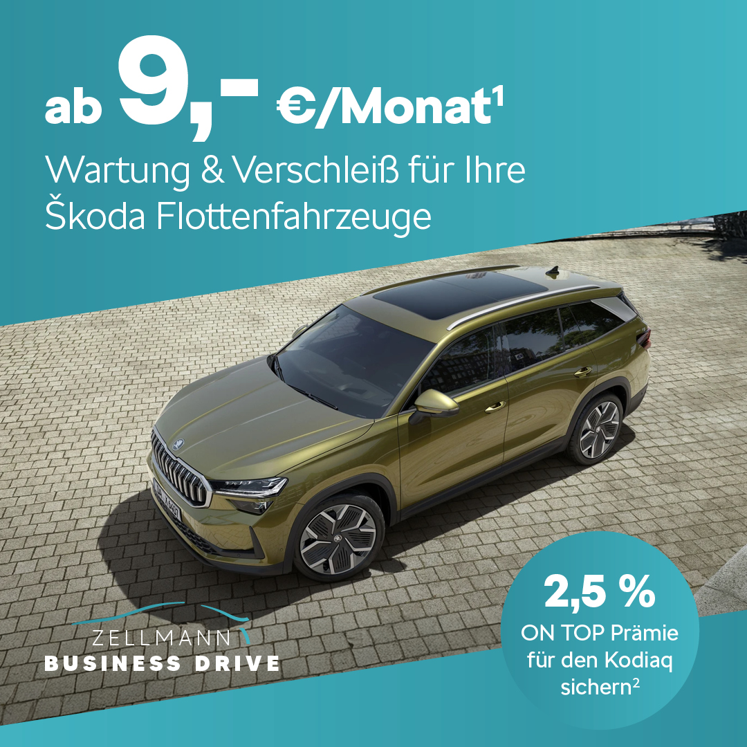 HEADER MOBILE Großkunden Skoda Wartung & Verschleiß