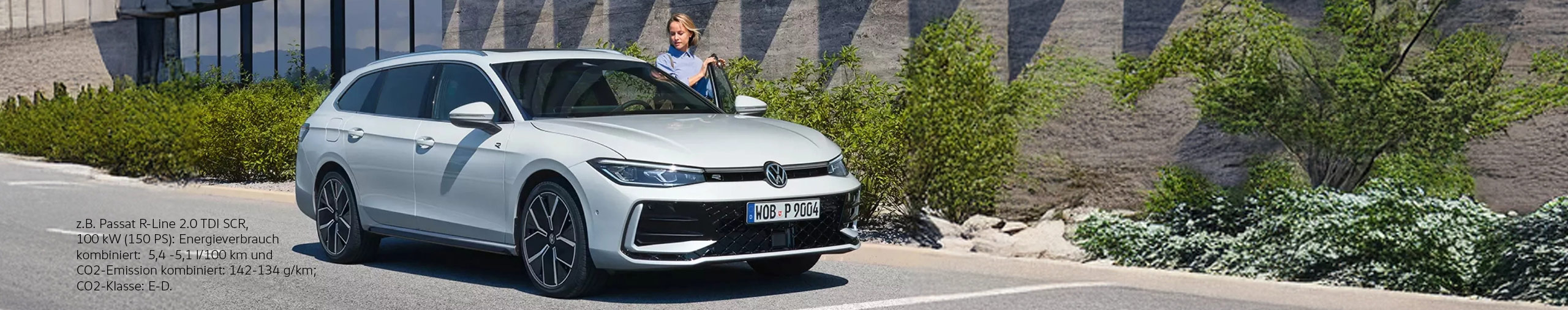 Passat-Grosskunden-Zellmann-Business-Drive