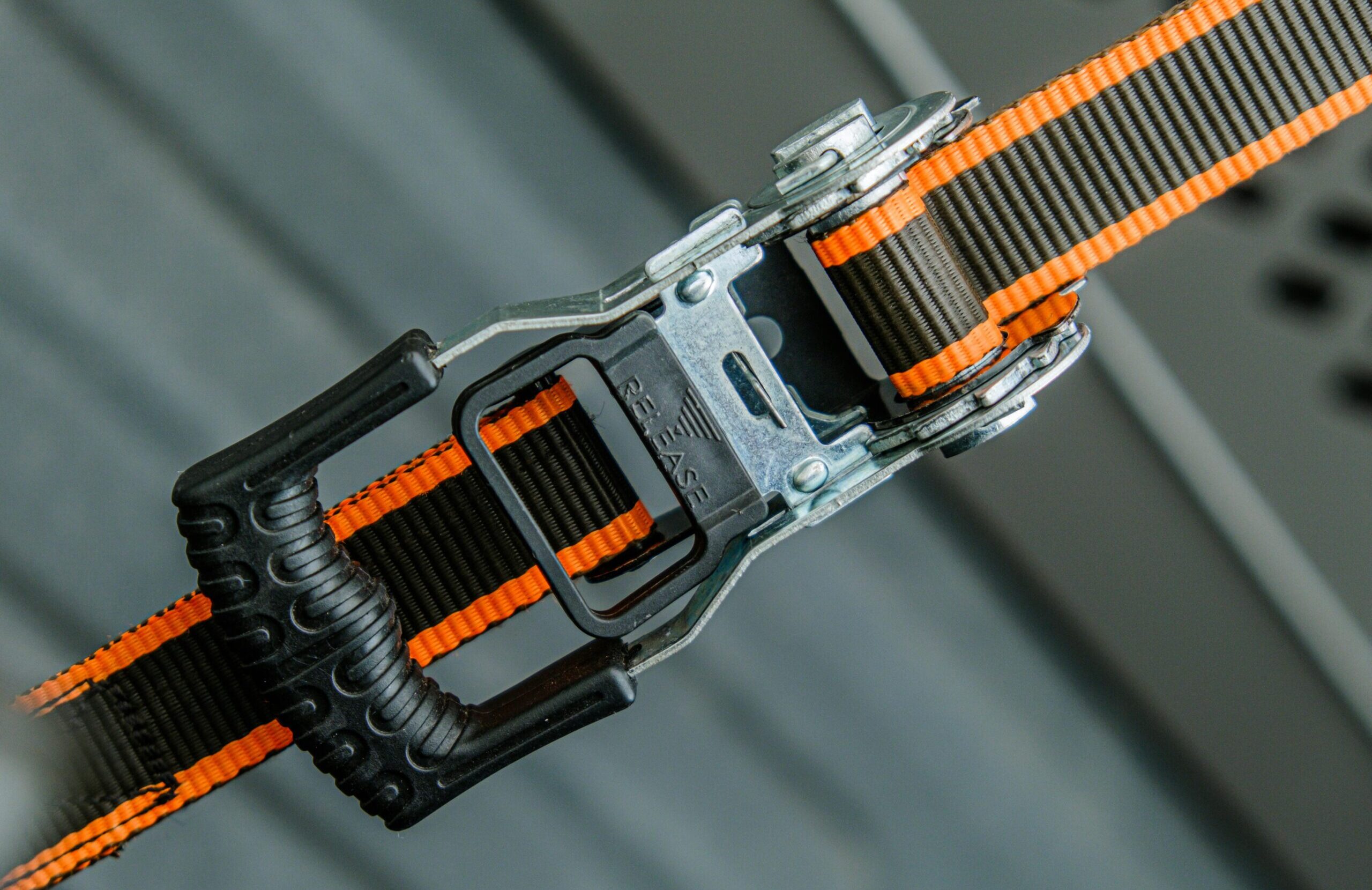 pexels-impact-dog-crates-1789722873-290406831-scaled-e1763985899366