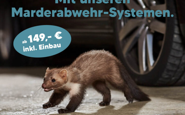 Marderabwehr-Anlagen