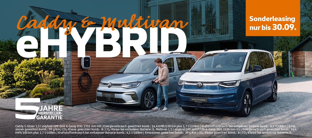 HD Multivan + Caddy eHybrid Spezi