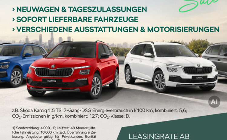  Skoda Kamiq Tageszulassungen 